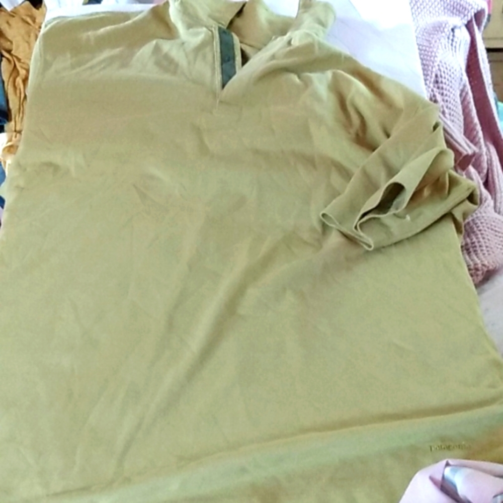 Patagonia polo shirt